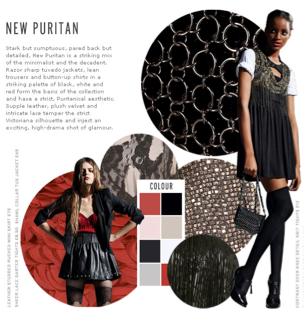 TopShop New Puritan